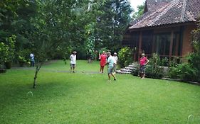The Country House