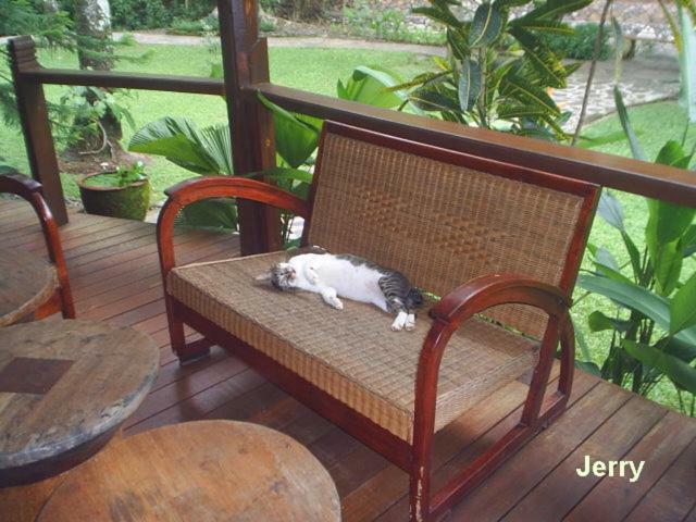 The Country House Senggigi Extérieur photo